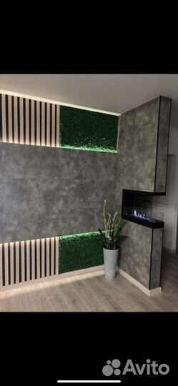 Стабилизированный мох