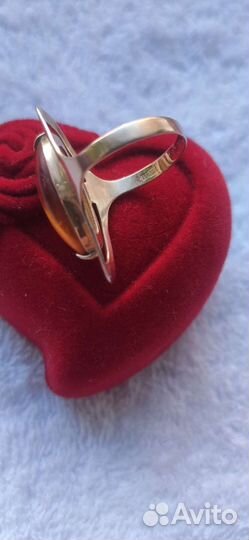 Золотое кольцо орбита