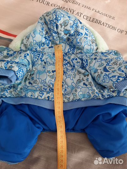 Одежда для собак