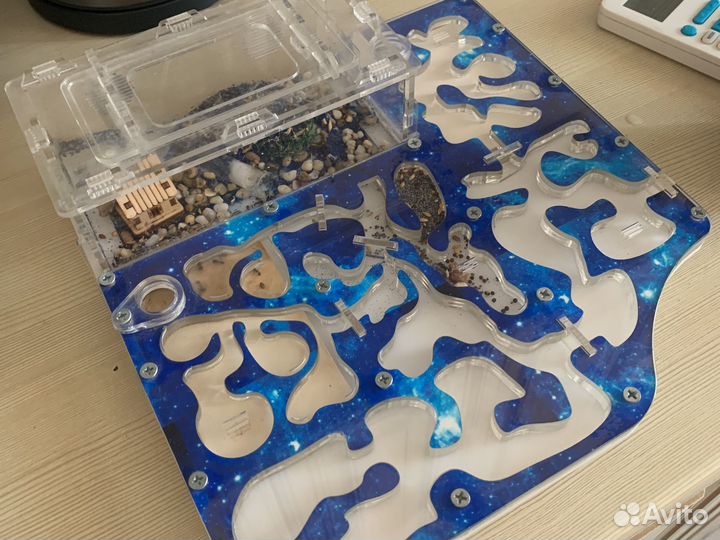 Муравьиная Ферма бу