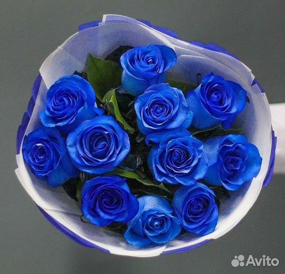 Синие розы с доставкой