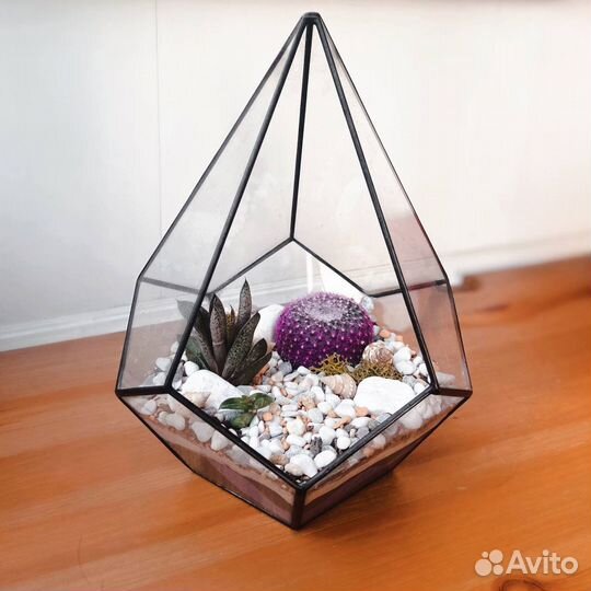 Флорариум с кактусом