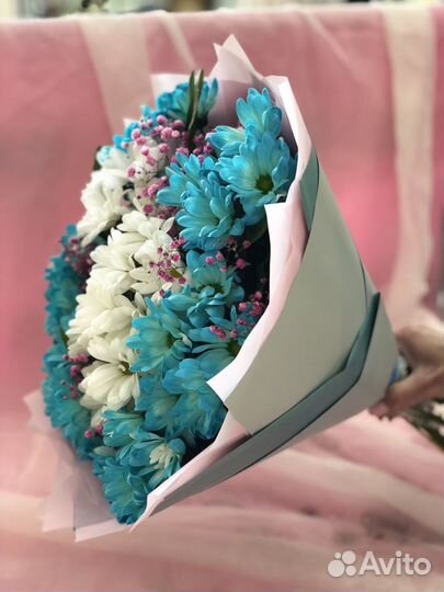 Хризантема