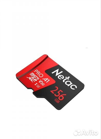 Карта памяти Netac P500 Extreme Pro microSD 256GB