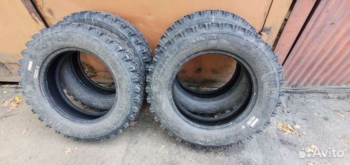 Алтайшина ВЛИ-10 R16