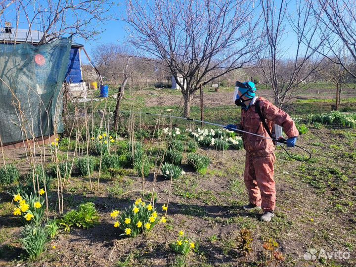 Садовник-озеленитель, агроном