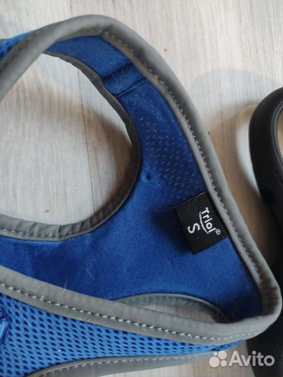 Шлейка для кошки