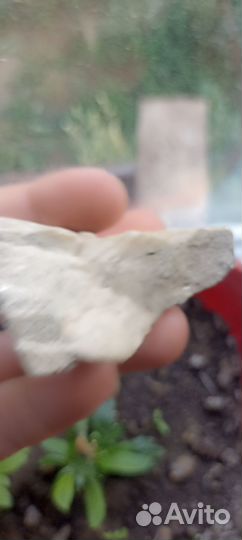 Ценный известковый камень минерал сувенир