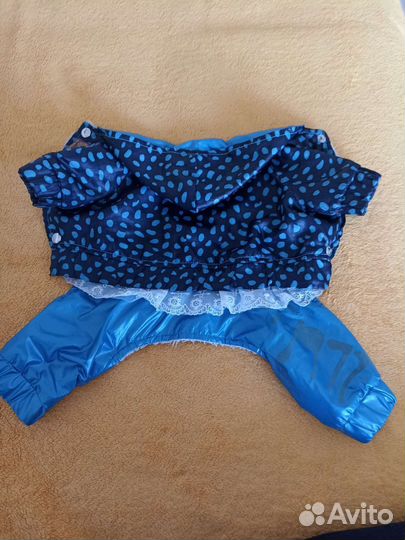 Курточка для маленьких собачек