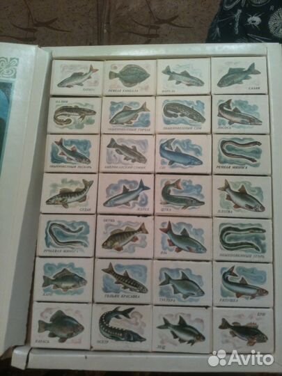 Спички. сувенирный набор