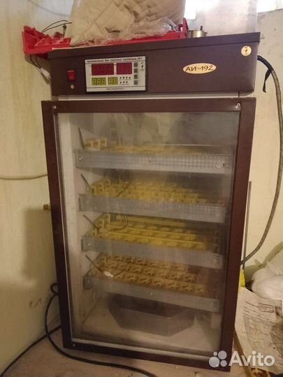 Инкубатор для яиц автоматический