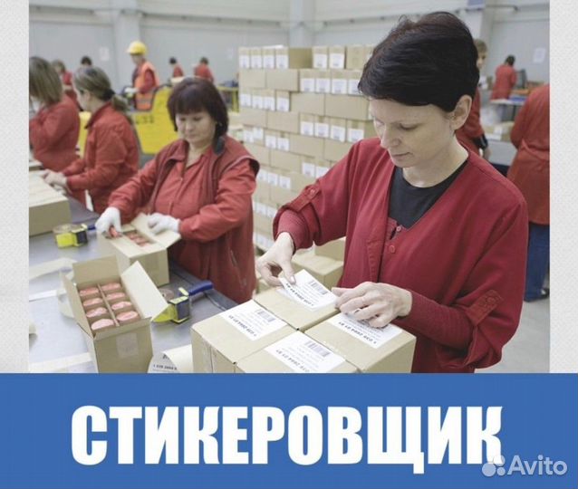 Стикеровщик на фармацевтический склад вахта