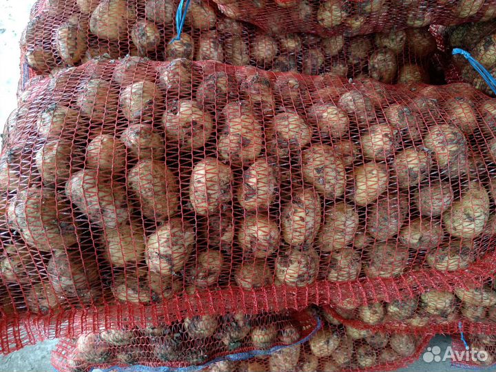 Продукты питания