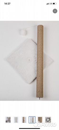 Когтеточка