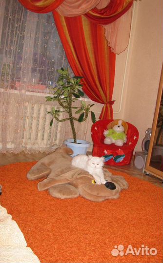 Продаётся ковёр