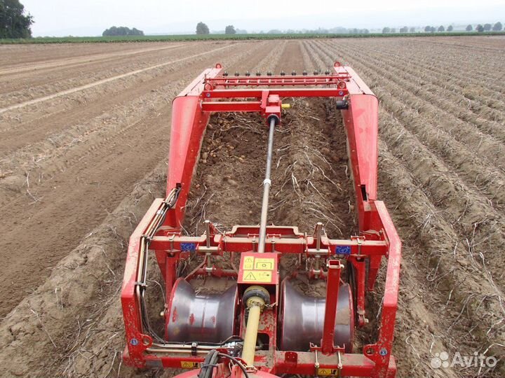 Копатель корнеплодов Grimme WR 200, 2023