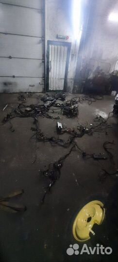 Жгут проводов двигателя Volkswagen Phaeton 3D8 BGH