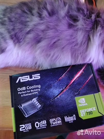 Asus gt 730 2gb gddr5