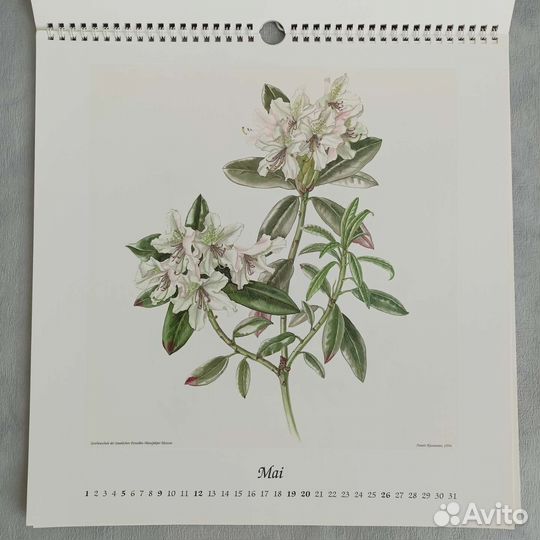 Календарь Meissen 2002 года, Германия