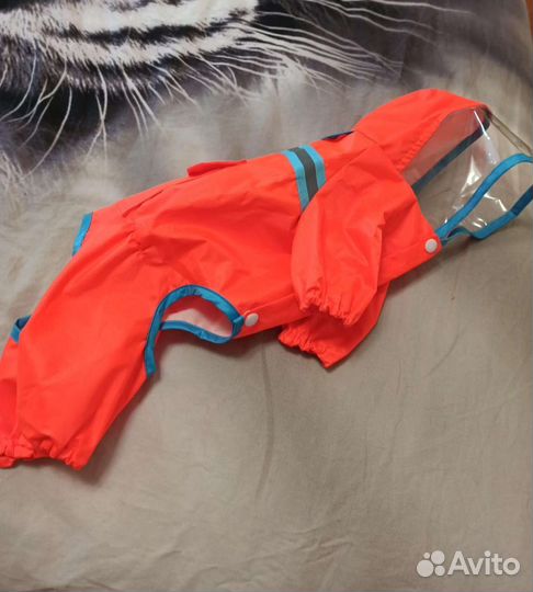 Дождевик для маленькой собаки