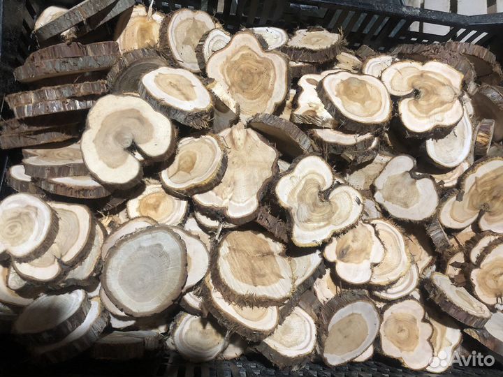 Можжевельник спилы