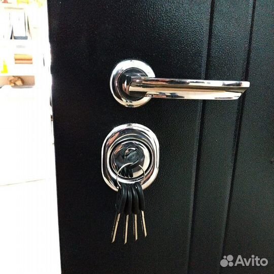 Дверь входная Серебро 10 см