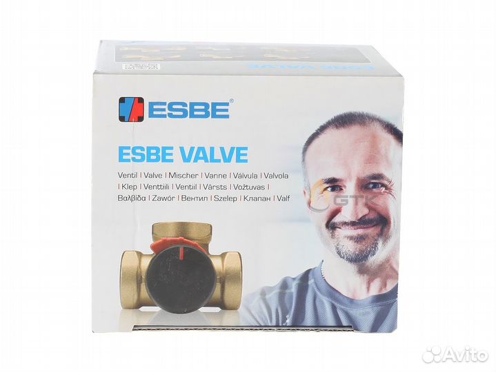 Клапан Esbe VRG 131-25-6.3 (Арт. 11601000)