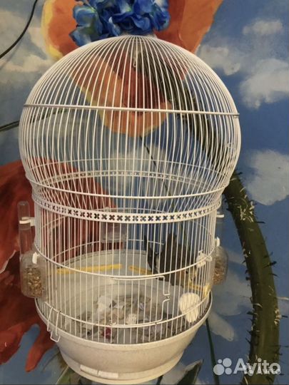 Клетка для птиц ferplast