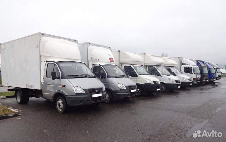 Грузоперевозки