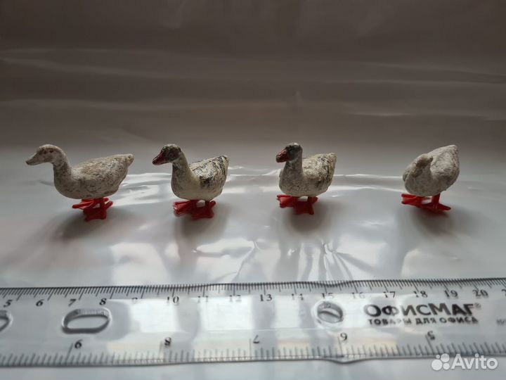 Зоопарк - утки, раритет. фрг - 50-е годы