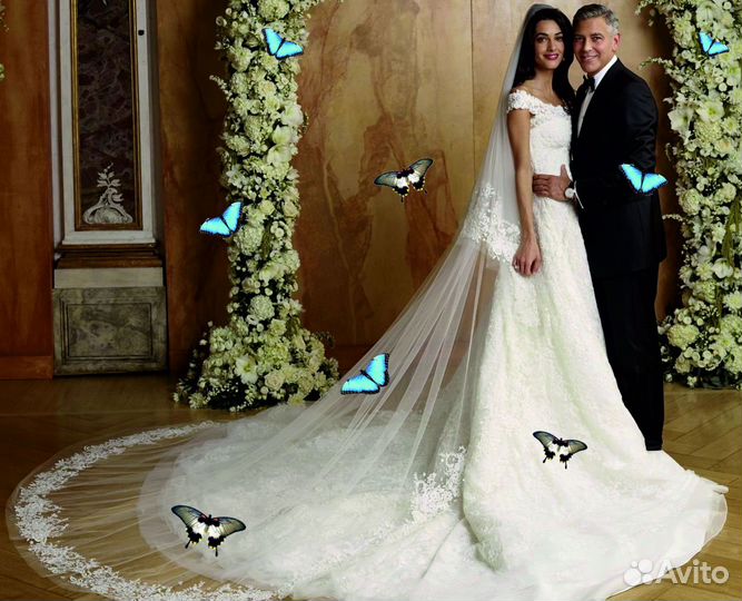 Салют из Живых Тропических Бабочек с/б-22