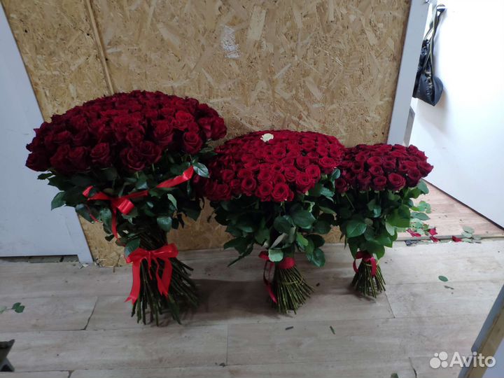 Роза букет розы букеты 51штук 101 штук
