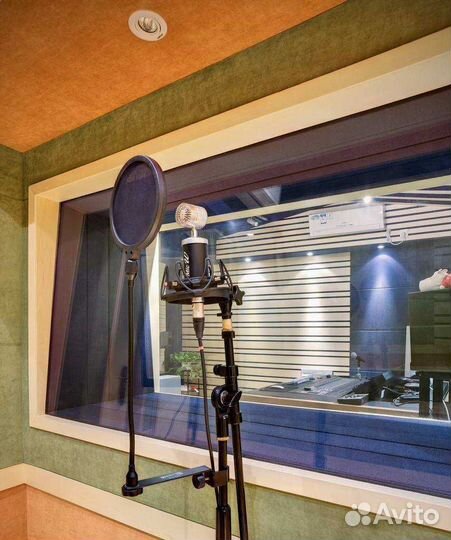 Микрофоны MicW T551