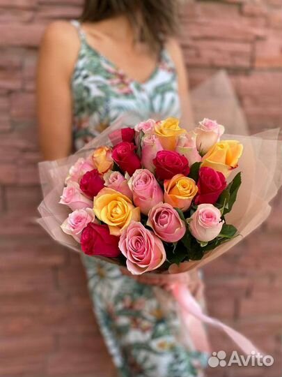 Роза микс кения 101