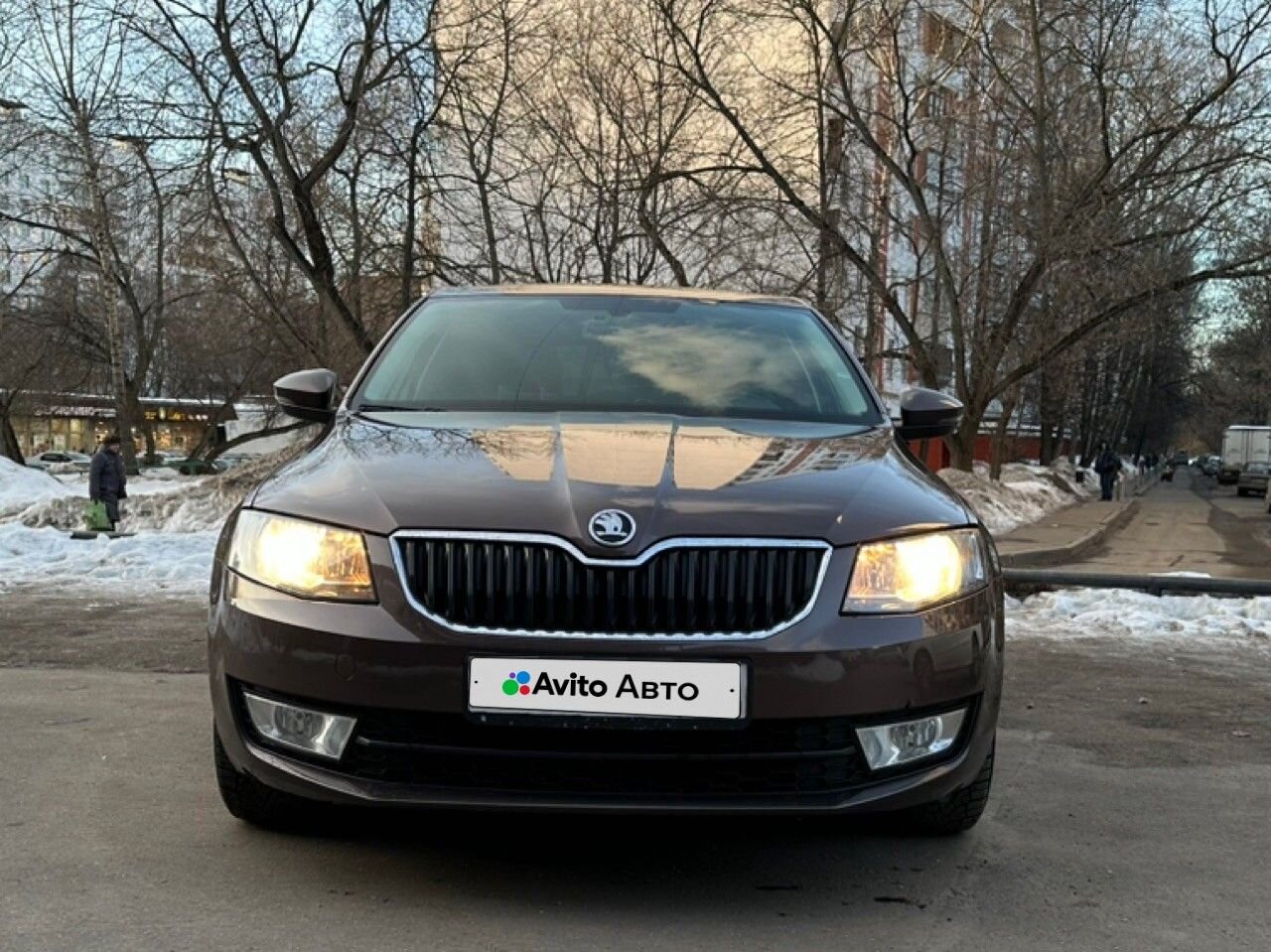 Skoda Octavia: фото владельца