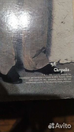 Виниловая пластинка