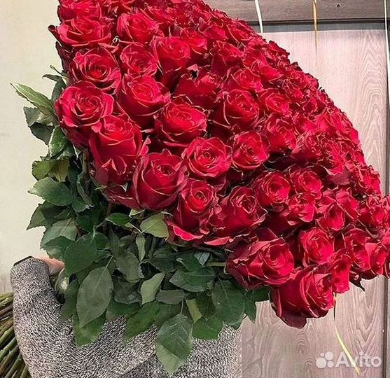 Высокие розы Гигантские Розы 150 160 170 180 190см