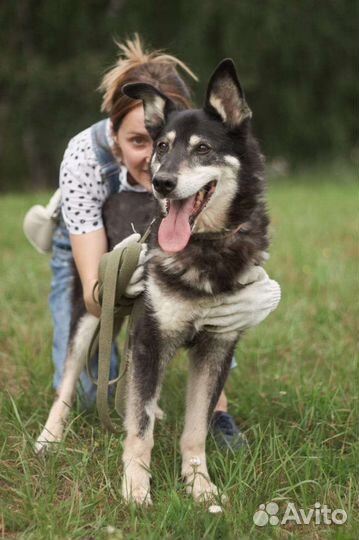 Меня зовут Джоник