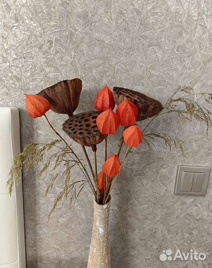 Коробочки лотоса и физалис