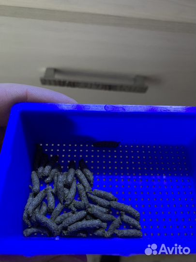 Корм для рыб