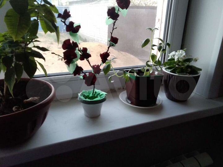 Дом 170 м² на участке 19 сот.