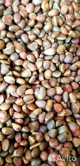 Кедровый орех неочищенный крупный калиброванный