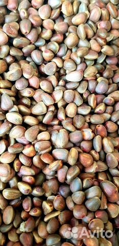 Кедровый орех неочищенный крупный калиброванный