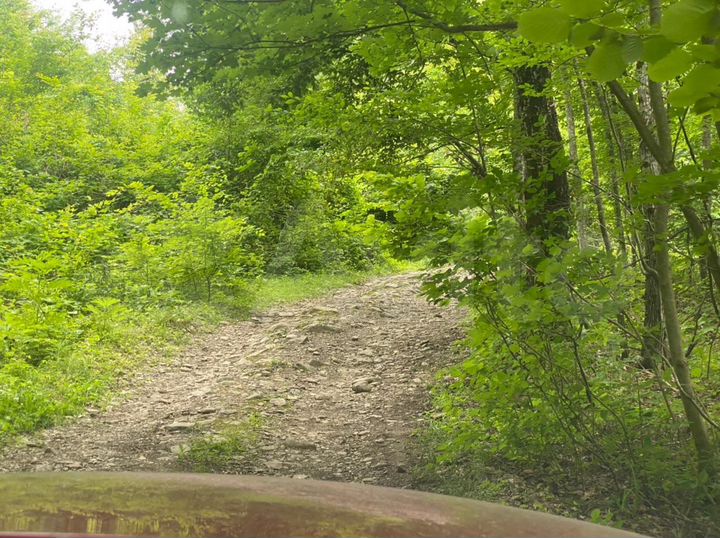 Участок 5,4 сот. (СНТ, ДНП)