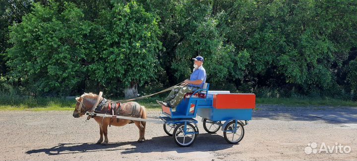 Пони с тачанкой