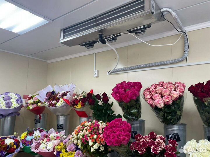 Холодильный агрегат для цветов и пивных кег