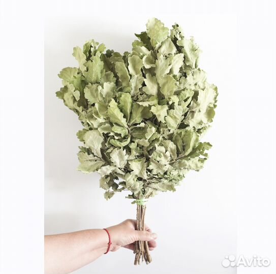 Веник дубовый