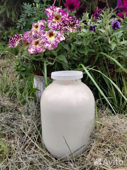 Молоко коровье