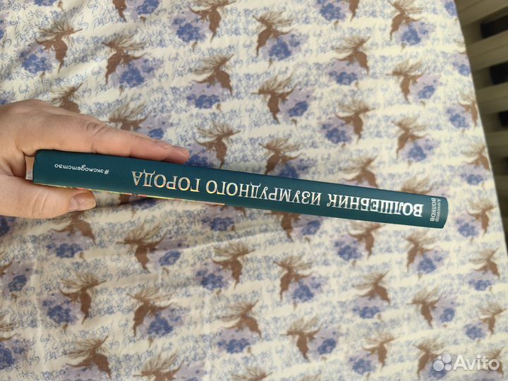 Александр Волков - Волшебник изумрудного города