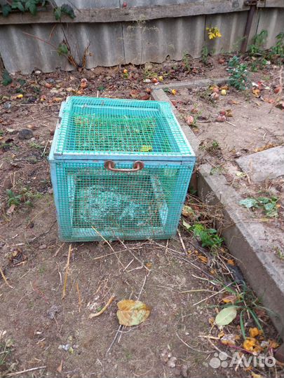 Клетка для птиц, кур